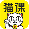 猫课电商京东VIP教程