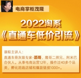 电商掌柜茂隆2022直通车低价引流玩法课程（直通车低价引流技术茂隆）